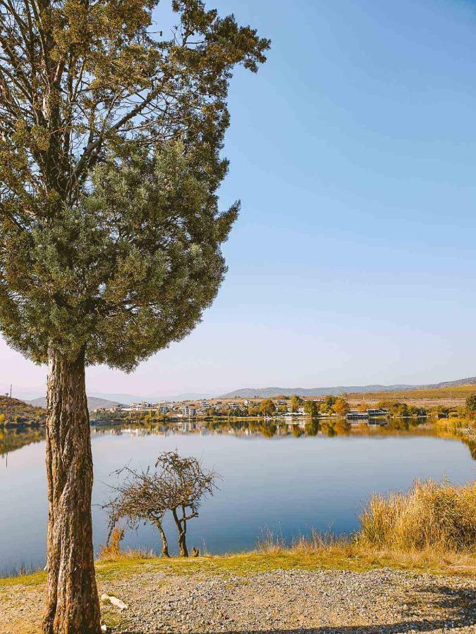 Villa Lucija By Romantique Велес Екстер'єр фото
